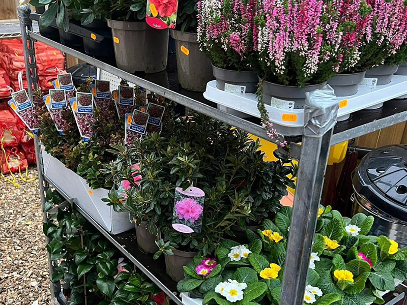 Garden Supplies, Plants, Tools, Cardiff