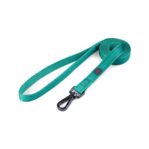 Zoon dog lead